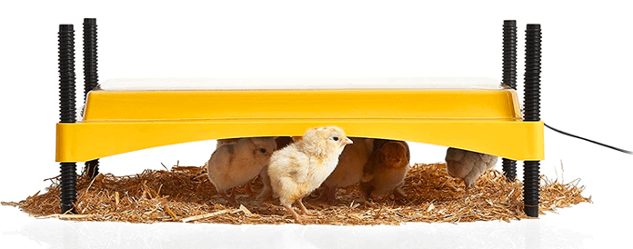 Heating plates are a safe alternative to heat lamps