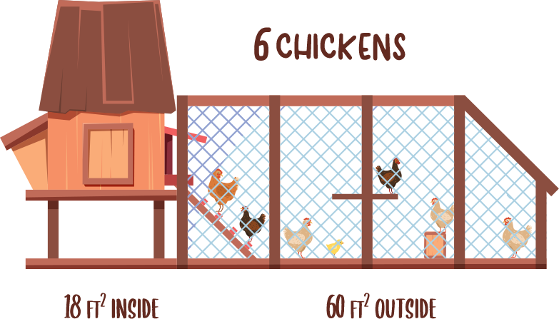 Chicken Coop Size Example