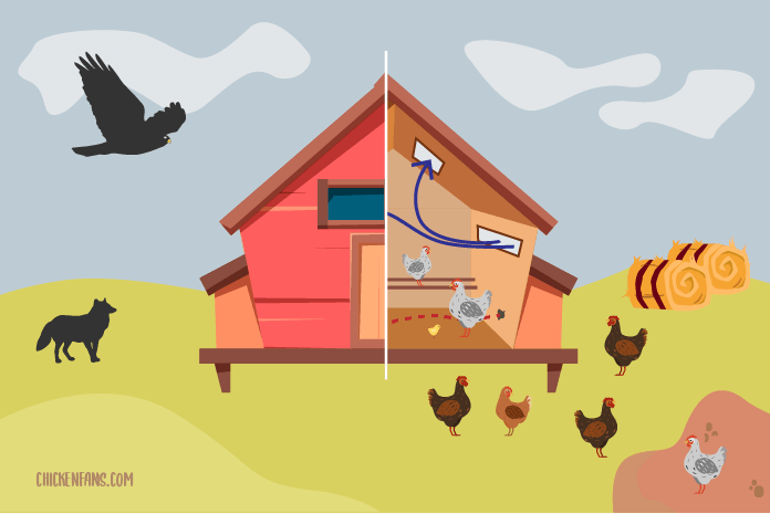 Chicken Coops : Complete Guide (2022)