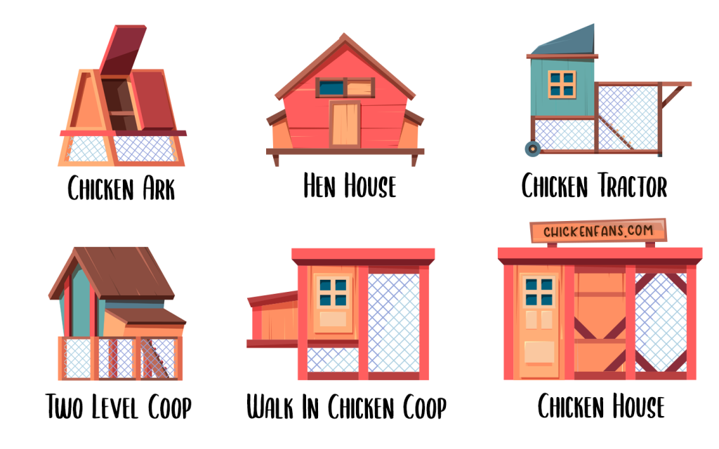 Types of chicken coops