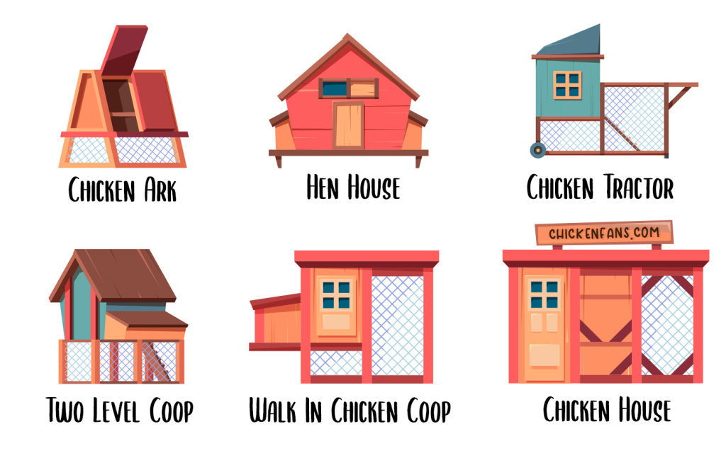 chicken coop types