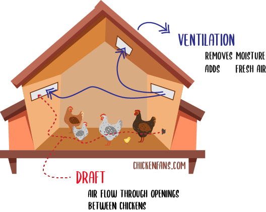 ventilation in the chicken coop