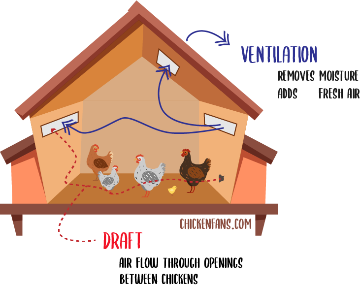 Ventilation inside a chicken coop when using deep litter method is crucial