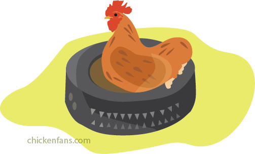 chicken tire dustbath