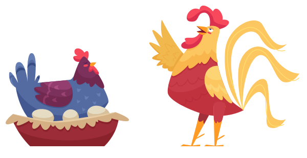 A broody hen and a rooster