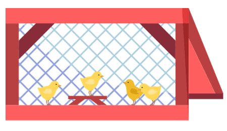 Chicks in a cage outside