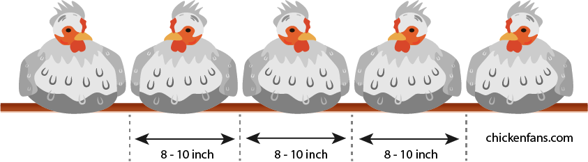 Chickens need eight to ten inches of space on a roosting bar to sit comfortable