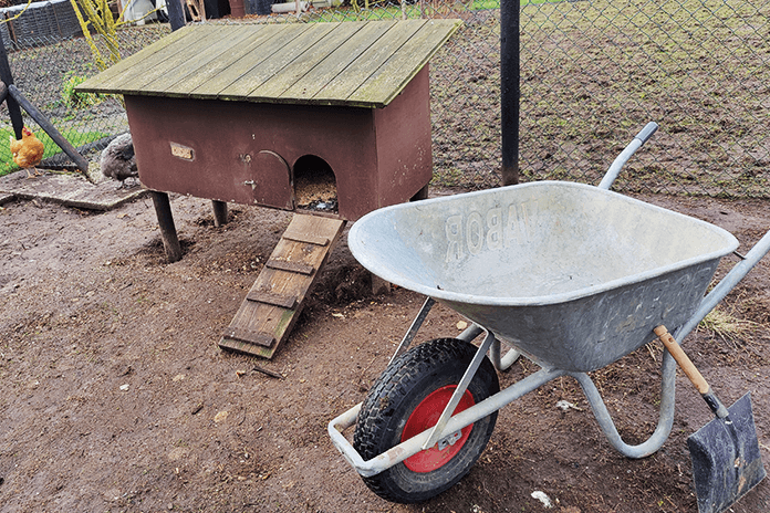 cleaning a chicken coop