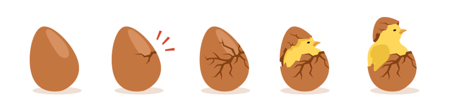 Stages of an egg that is hatching