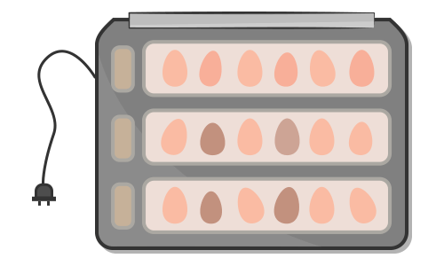 An incubator used for hatching chicken eggs