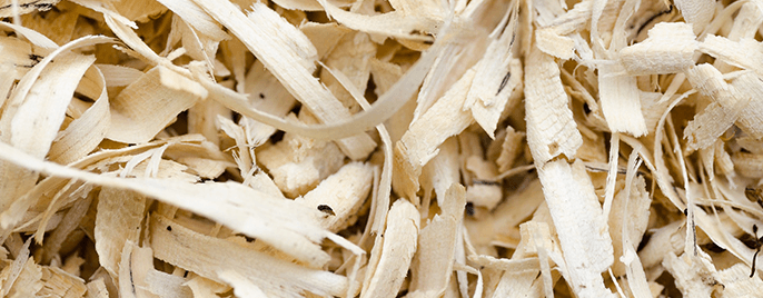 pine shavings are commonly used as bedding material inside the chicken coop