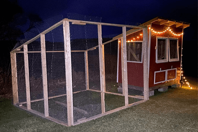 Covered chicken run prevents your hens from flying away.
