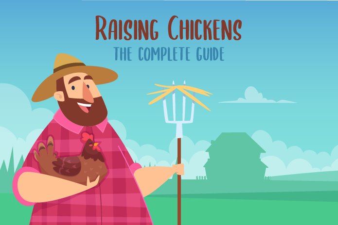 How to Raise Chickens – The Complete Guide (2022)