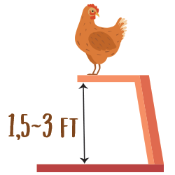 The height of roosting bars in the chicken coop