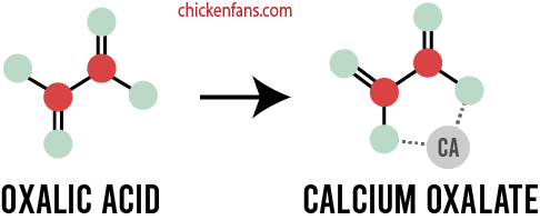 oxalic acid binds to the calcium in the food of the chicken