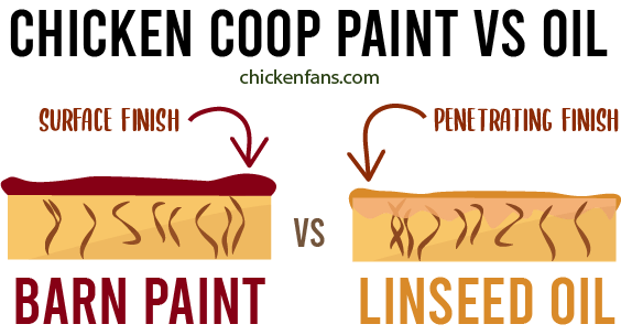 Barn Paint will lay on top of the surface of the chicken coop, while oil will penetrate and keep the original look of the wood