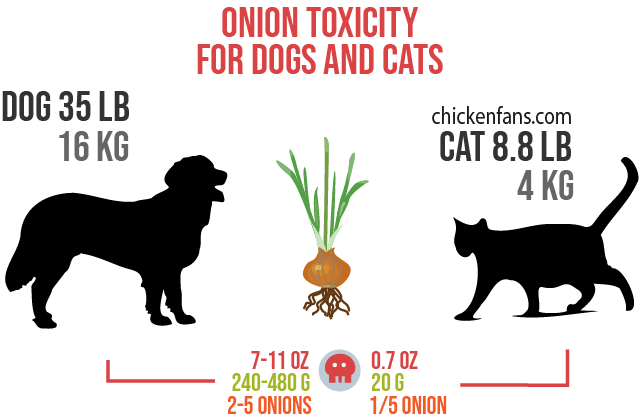 Example of onion toxicity for dogs and cats with a dog of 35lb and a cat of 8.8lb.