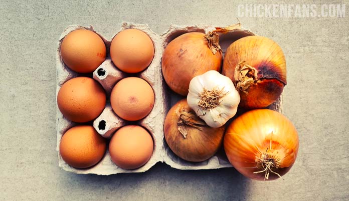 The influence of onion and garlic on the taste of eggs