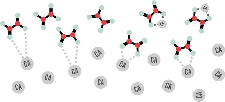 oxalic acid distracts calcium from the digestive system of chickens and renders a lot of the calcium in rhubarb unusable by the chickens body