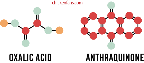 oxalic acid and anthraquinone, two components that will play a role in the intestins of chickens