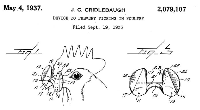 Patent request for pinless peepers