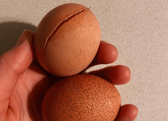 a cracked egg due to cold temperatures