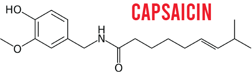 chemical formula of capsaicin, the chemical that makes food spicy