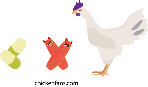 antibiotics for fowl cholera