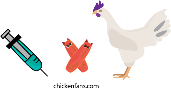 chicken vaccines for fowl cholera