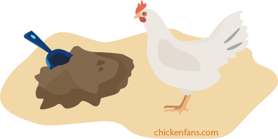 Diatomaceous earth for chickens, used in the fight against coccidiosis