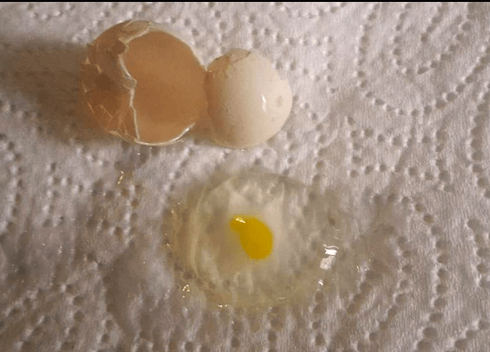 A broken fairy egg without yolk