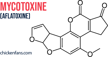 mycotoxine, a toxic chemical that can induce mycotoxicosis in chickens