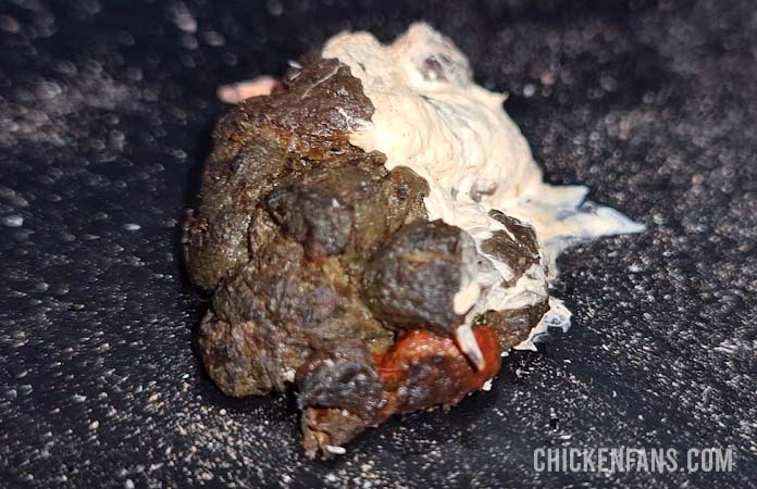 blood in chicken poop from shedding of intestinal linings