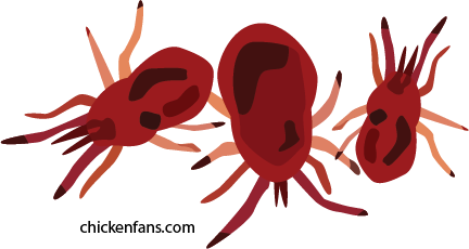 red mites