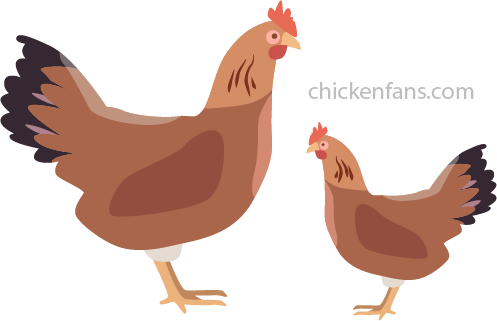 brown leghorn