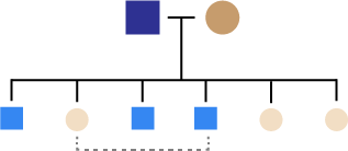 infographic respresenting the concept of inbreeding chickens with brother and sister