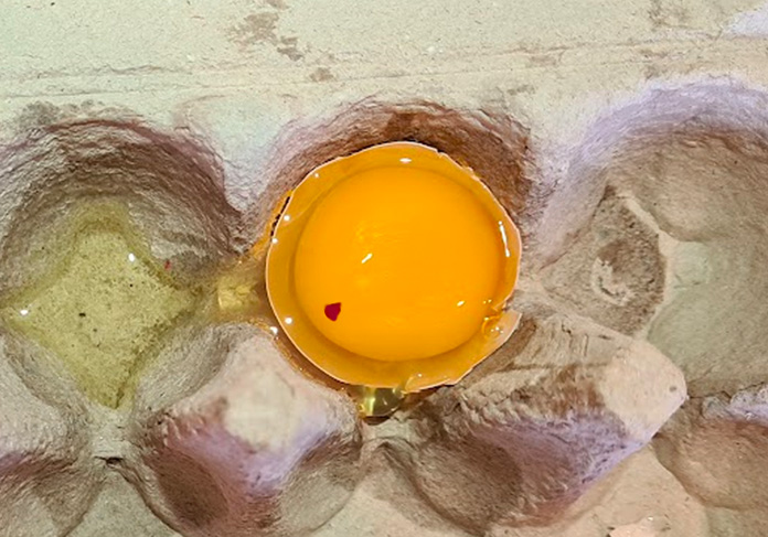 blood spot in egg yolk