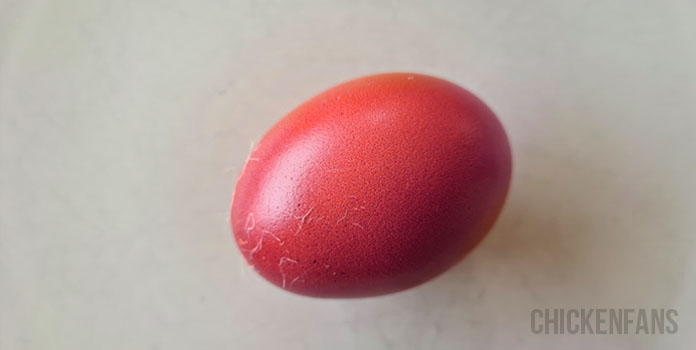 purple chicken egg