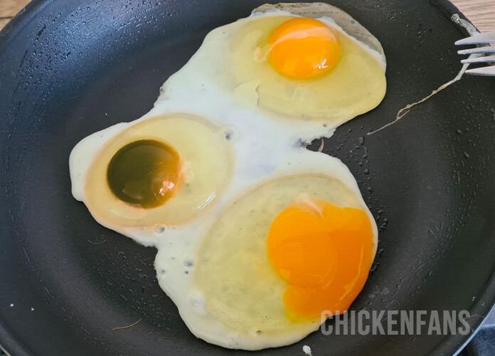 cracked egg black green yolk