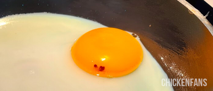 blood spot in a chicken egg yolk
