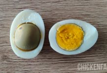chicken egg with green yolk