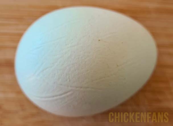 A deformed, wrinkled egg with distortions due to an affected calcification process