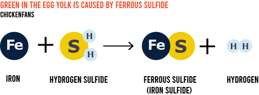 iron and hydrogen sulfide react chemically to create iron sulfide, which turns the egg shell black