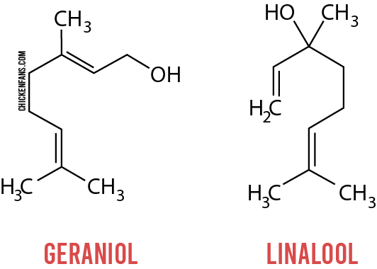 active chemicals in geraniums, geraniol and linalool