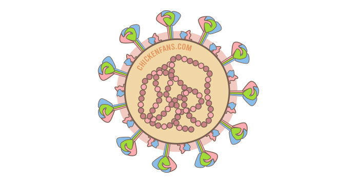 Infectious Bronchitis Virus in Chickens