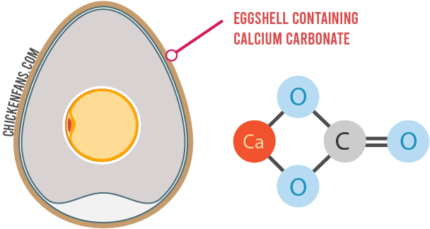 eggshell representation containing calcium carbonate with chemical formula