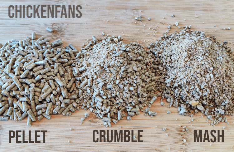 difference between pellet, crumble and mash feed