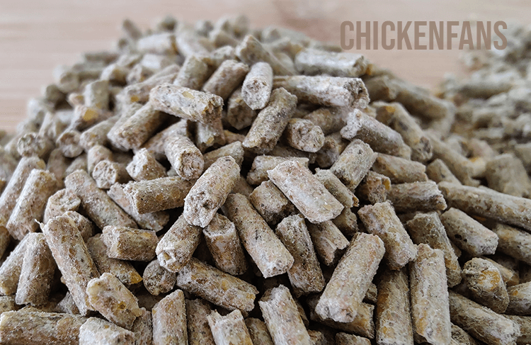 pellet feed for chickens