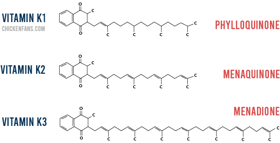 Visual representation of vitamin k1, k2 and k3. Vitamin k1 and k2 have carbon tails with various double bonds whereas vitamin k3 has a longer tail.