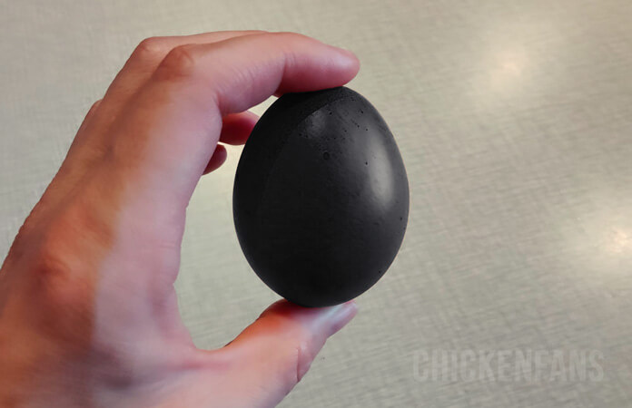 Black Chicken Egg